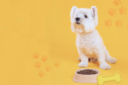 Köpek Maması