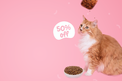 Kedi Maması