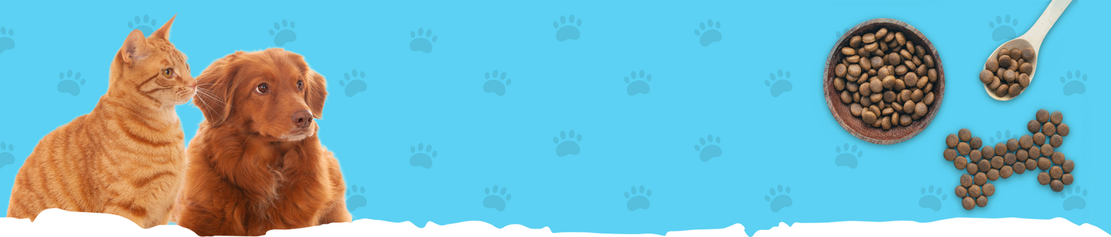 dfgdfg